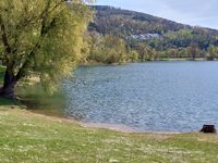 PleschSee2